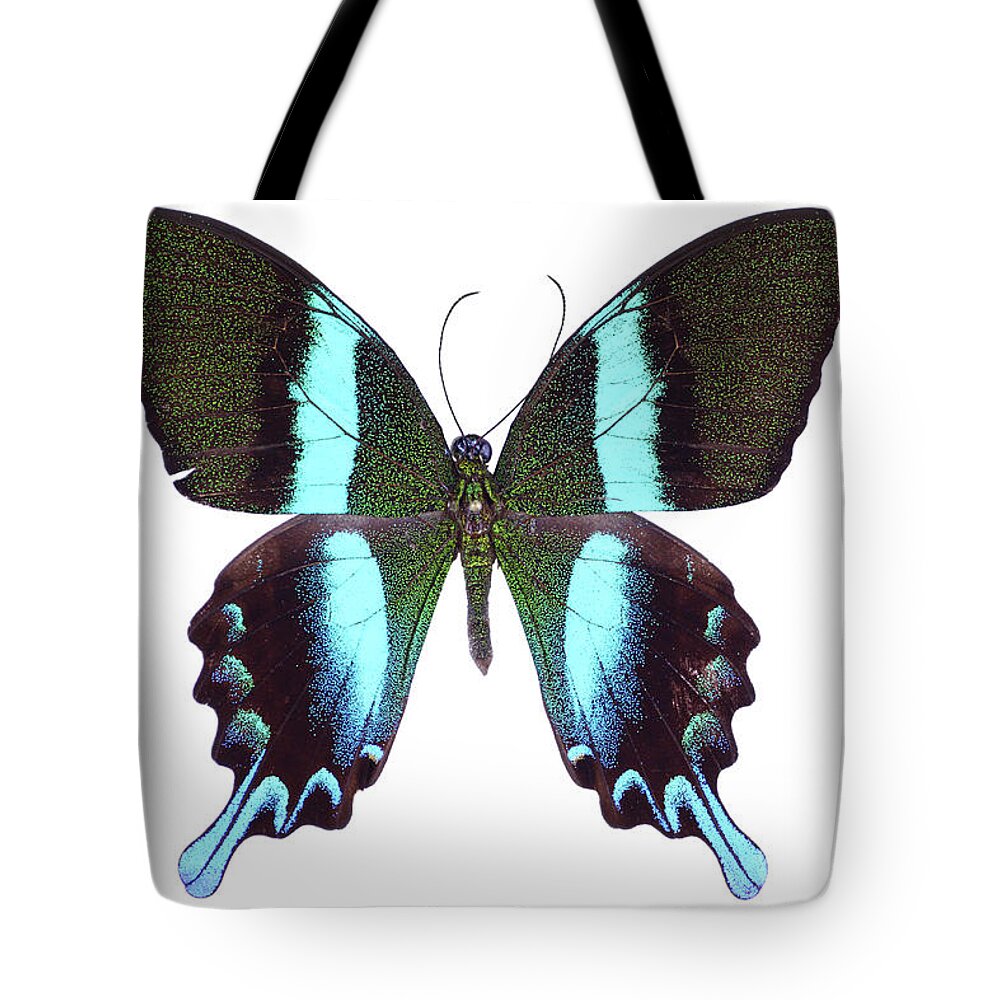 White Background Tote Bag featuring the photograph Papilio Butterfly #1 by Imv