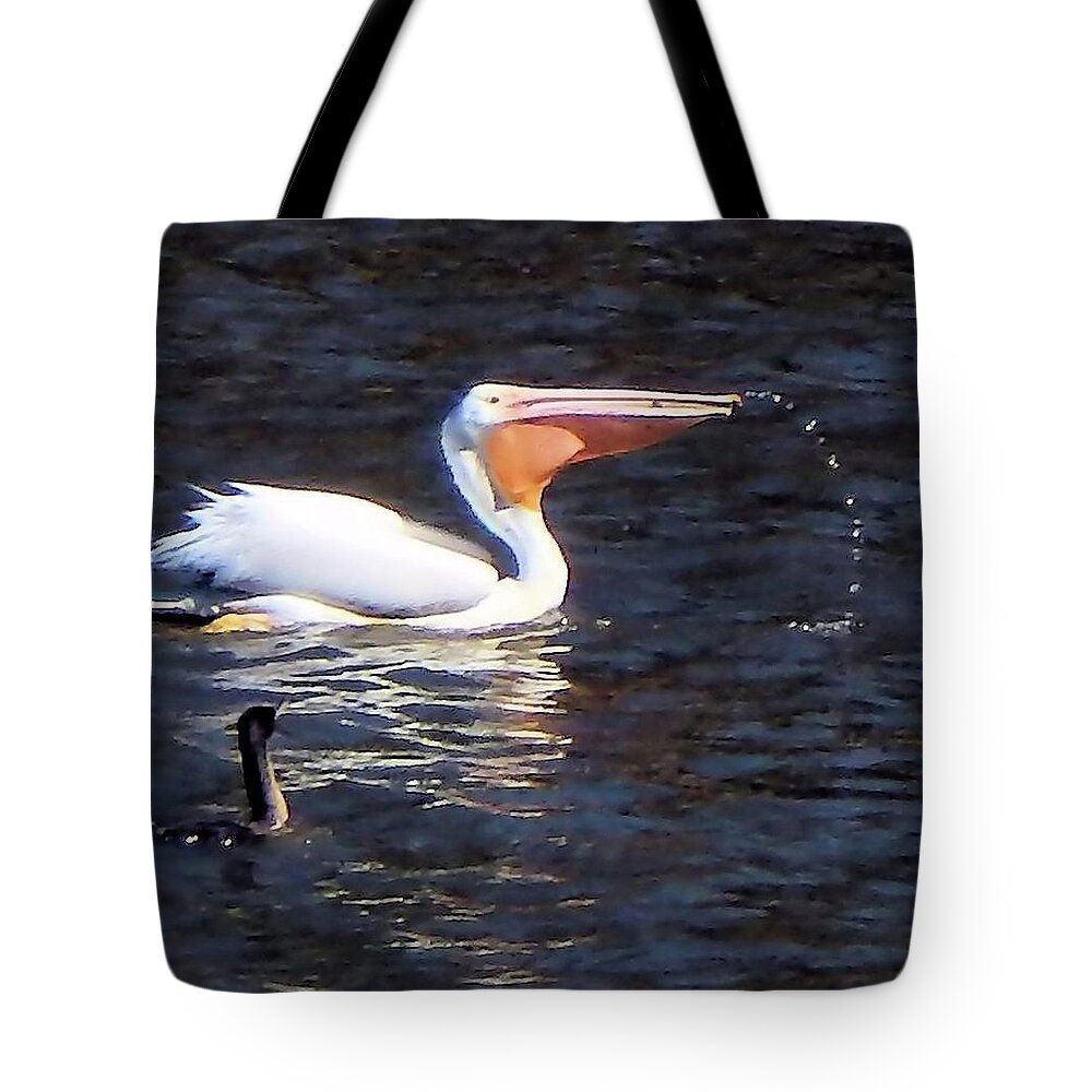 Birds Tote Bag featuring the photograph Pelican Antics by Karen Stansberry