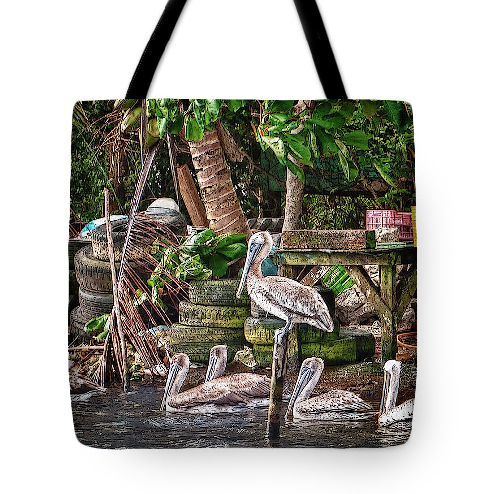 Belize Tote Bag featuring the photograph Pelicans #1 by Jessica Levant
