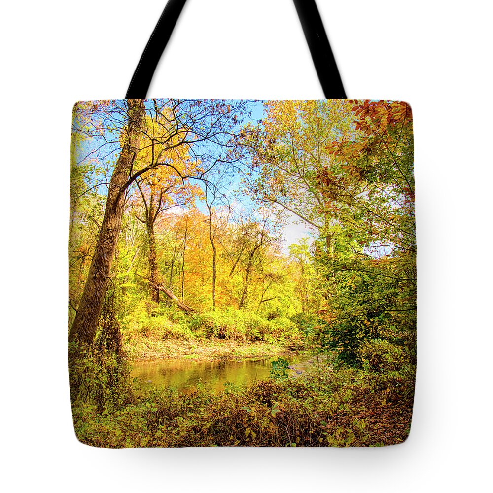 Color Tote Bag featuring the photograph Pennsylvania Stream in Autumn #1 by A Macarthur Gurmankin