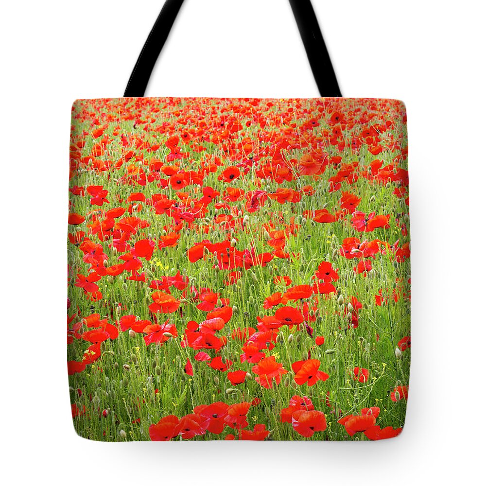 Outdoors Tote Bag featuring the photograph Poppies, Somme Valley, France #1 by Travelpix Ltd