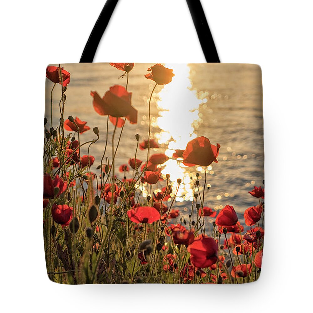 Poppy Tote Bag featuring the photograph Poppy flowers at sunset on river by Patricia Hofmeester