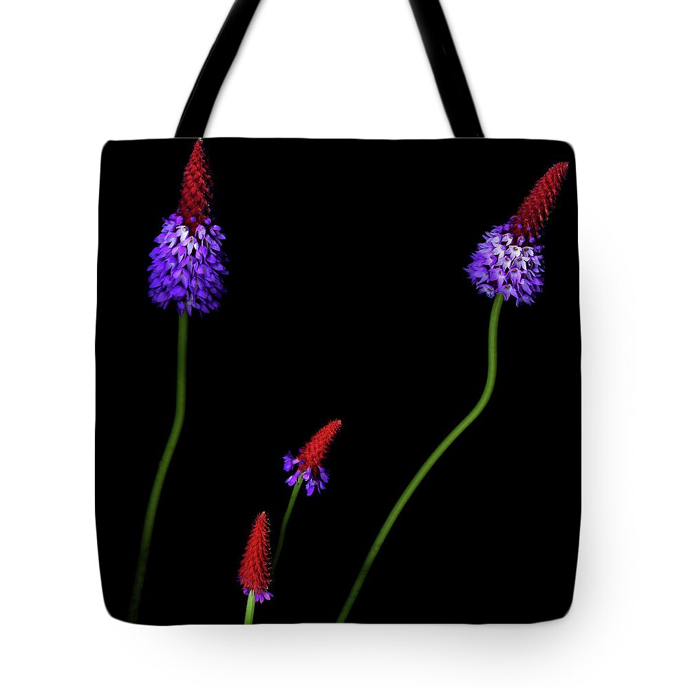 Primula Tote Bag featuring the photograph Primula Vialii by Photograph By Magda Indigo