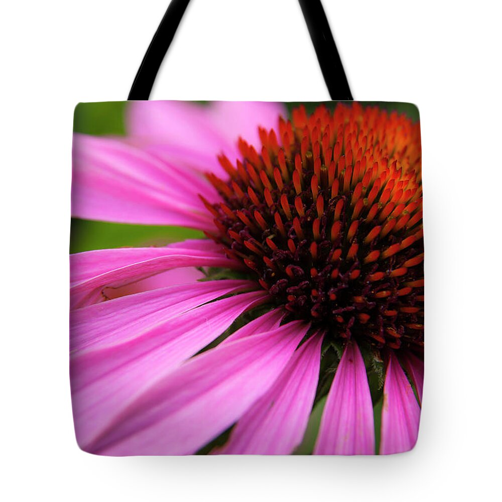 5dii Tote Bag featuring the photograph Purple Coneflower #1 by Mark Mille