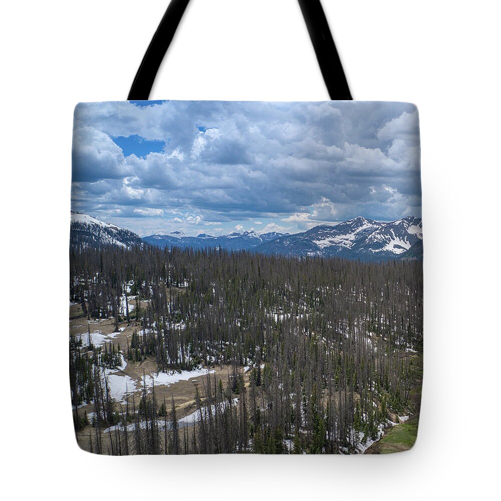 Sunsets Tote Bag featuring the photograph Rio Grande National Forest Area #1 by Anthony Giammarino