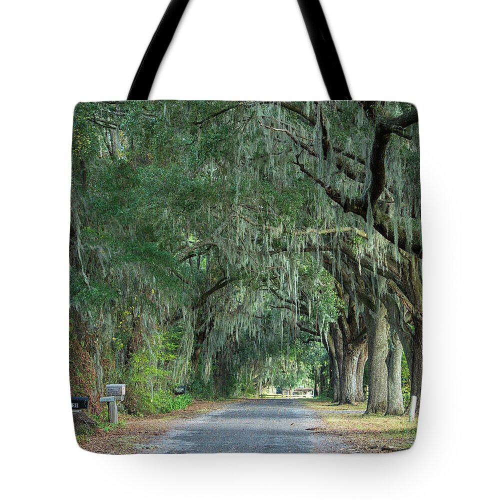 Estock Tote Bag featuring the digital art Road With Oak Trees #1 by Heeb Photos