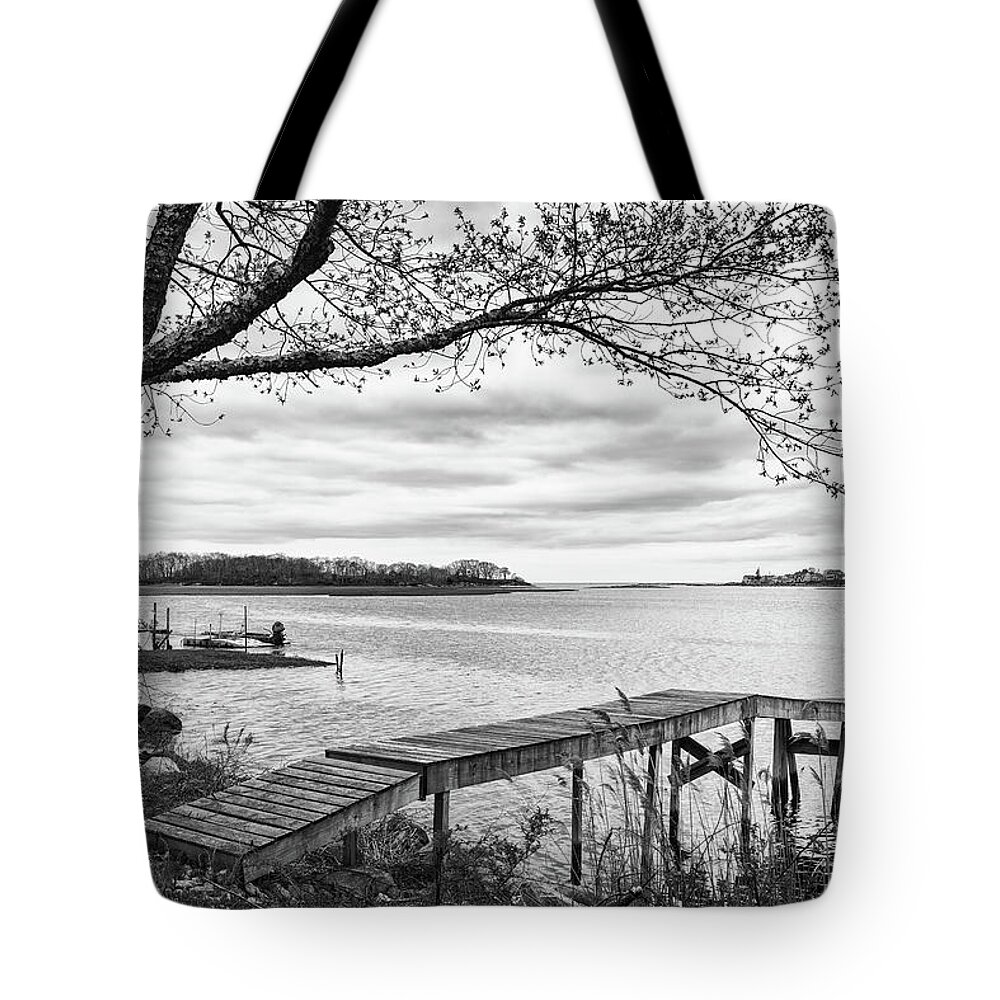 Coast Tote Bag featuring the photograph Salt marsh in spring #2 by Marianne Campolongo