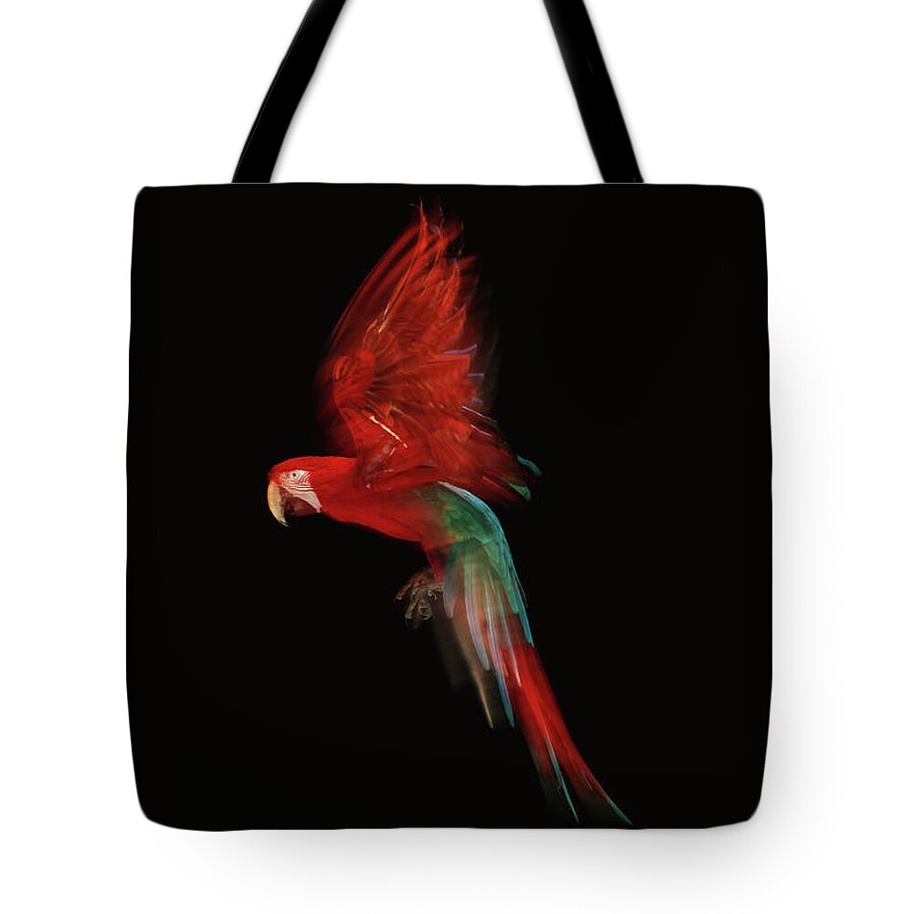 Motion Tote Bag featuring the photograph Scarlet Macaw Parrot In Flight #1 by Tim Platt