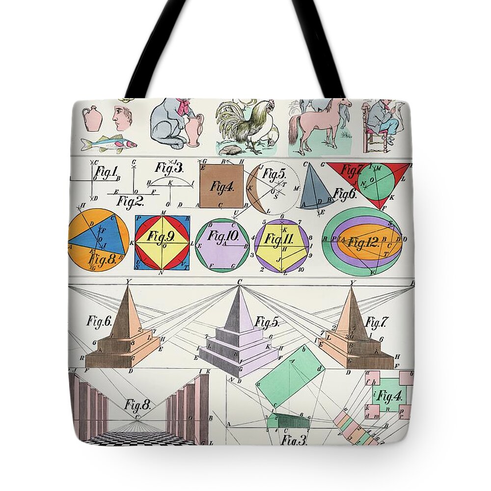 Educational Tote Bag featuring the painting School And Family Charts by Marcius Willson