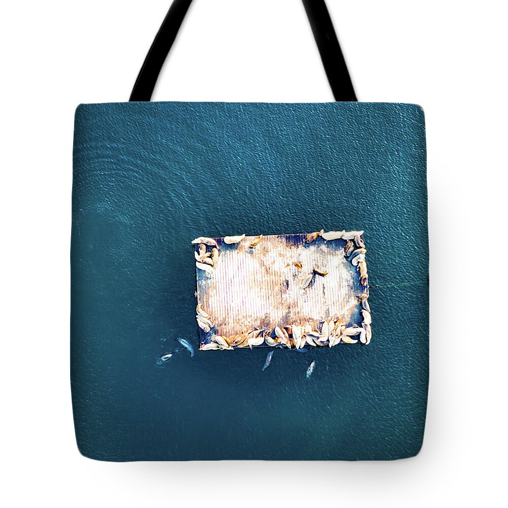 Steve Bunch Tote Bag featuring the photograph Sea Lions in Redondo Beach Harbor #1 by Steve Bunch