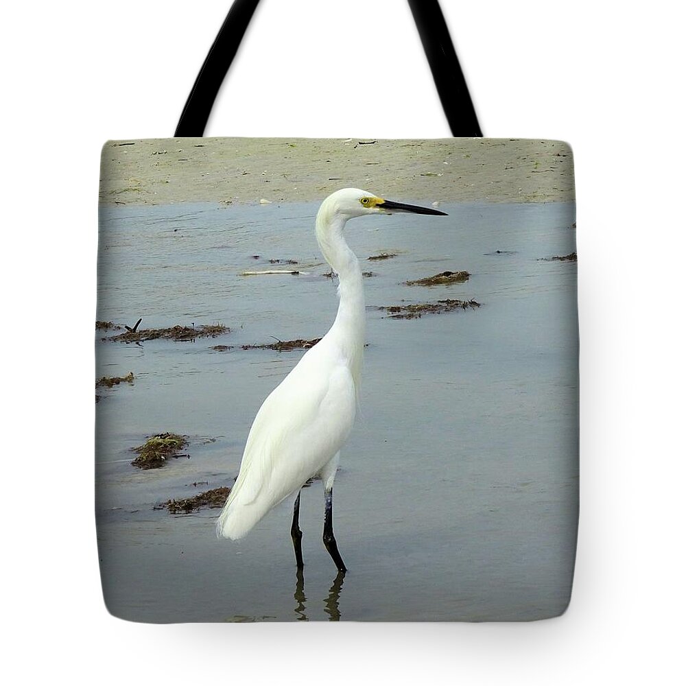 Birds Tote Bag featuring the photograph Snowy Egret #2 by Karen Stansberry