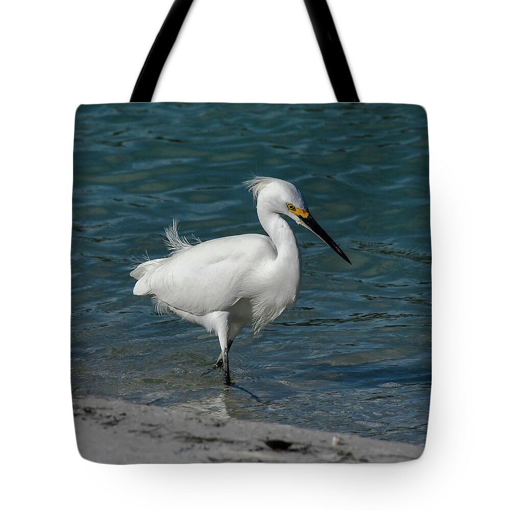 Snowy Egret Tote Bag featuring the photograph Snowy Egret #1 by Ken Stampfer