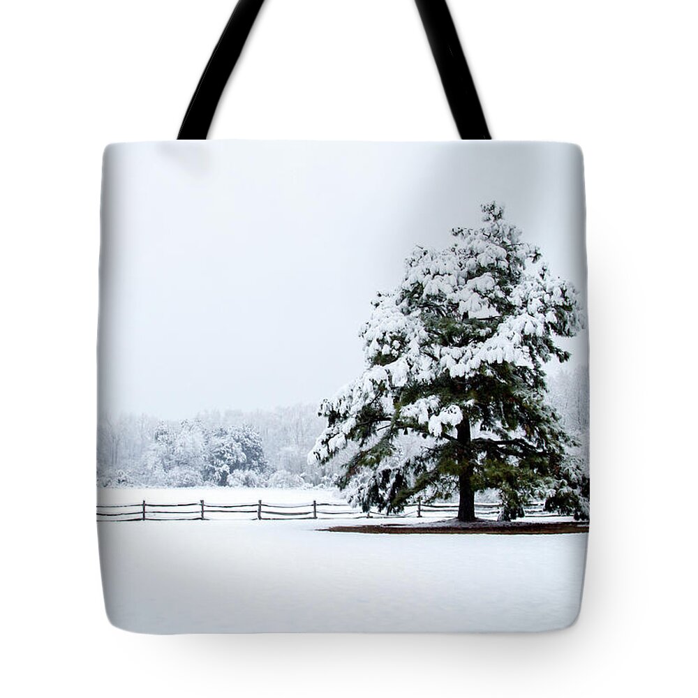 Color Tote Bag featuring the photograph Snowy Sentinel #1 by Alan Hausenflock