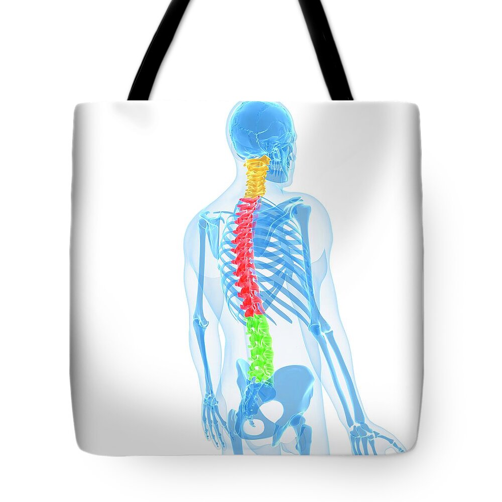 White Background Tote Bag featuring the digital art Spine, Artwork #1 by Sciepro