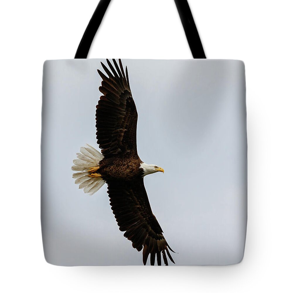 Eagle Tote Bag featuring the photograph Stretching #1 by Les Greenwood