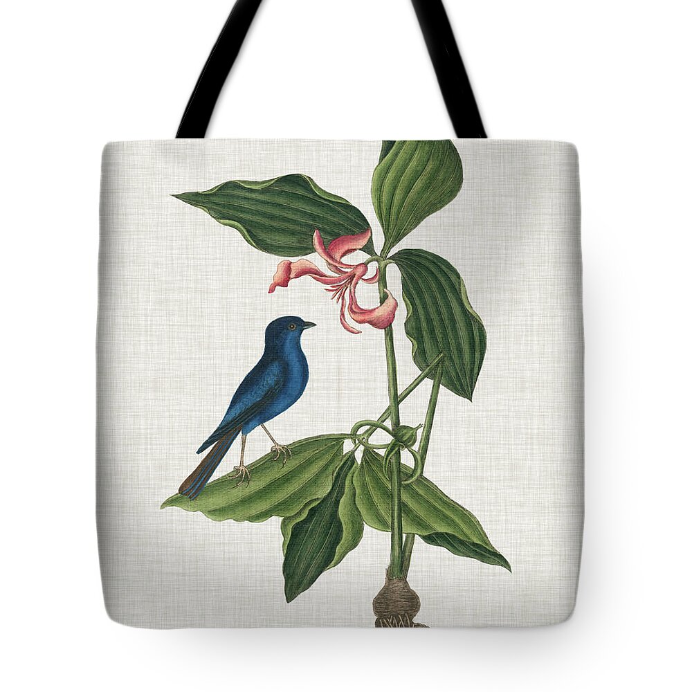 Animals Tote Bag featuring the painting Studies In Nature IIi by Mark Catesby