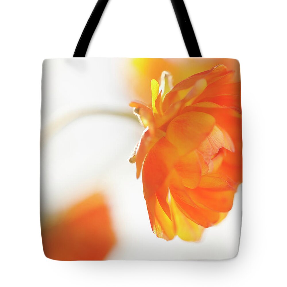 Orange Color Tote Bag featuring the photograph Studio Shot Of Orange Ranunculus #1 by Tetra Images