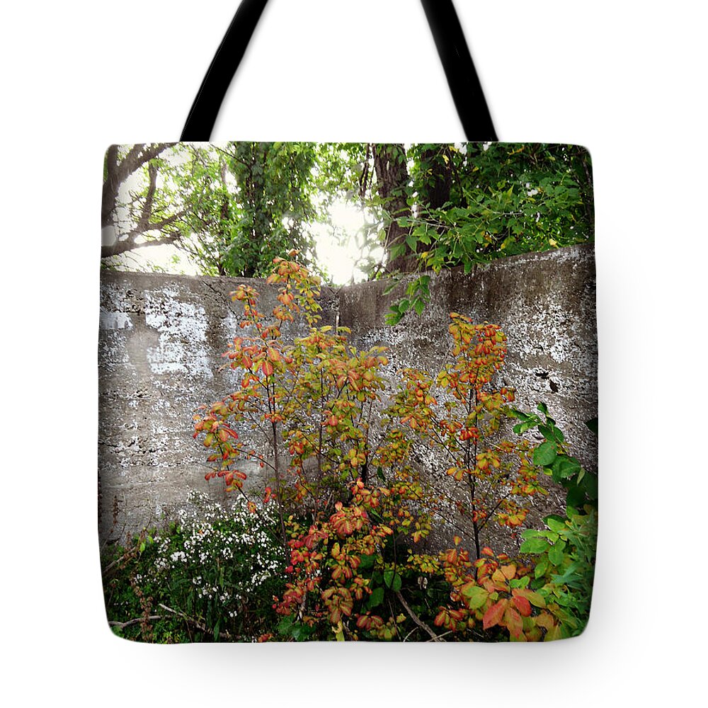 Summer Night In Stayner Tote Bag featuring the photograph Summer Night In Stayner #1 by Cyryn Fyrcyd