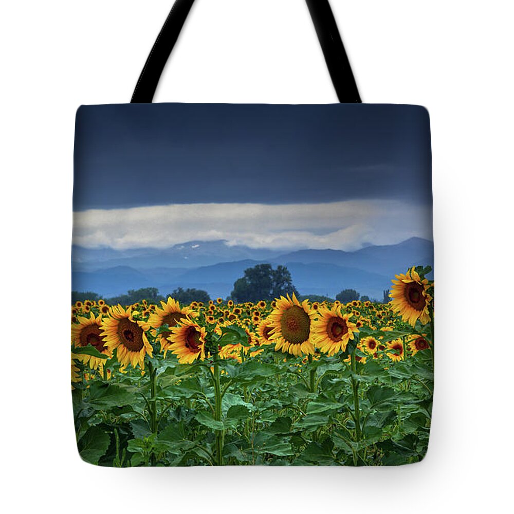 Colorado Tote Bag featuring the photograph Sunflowers Under A Stormy Sky #1 by John De Bord