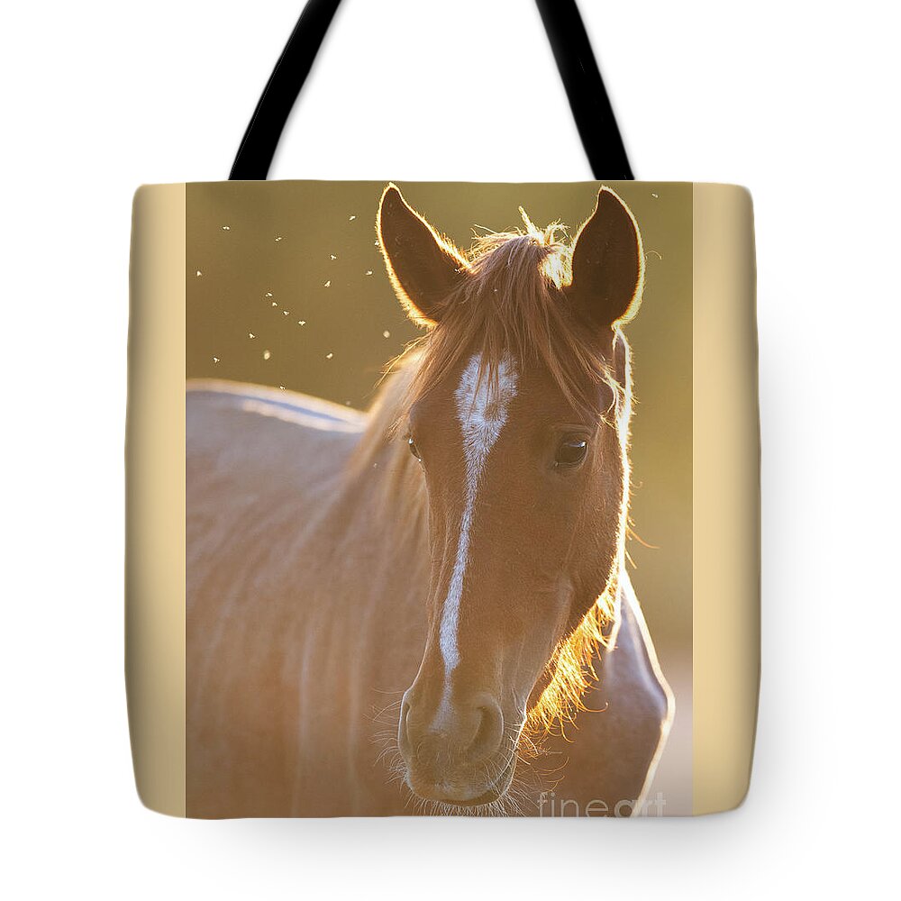 Salt River Wild Horse Tote Bag featuring the photograph Sunrise by Shannon Hastings