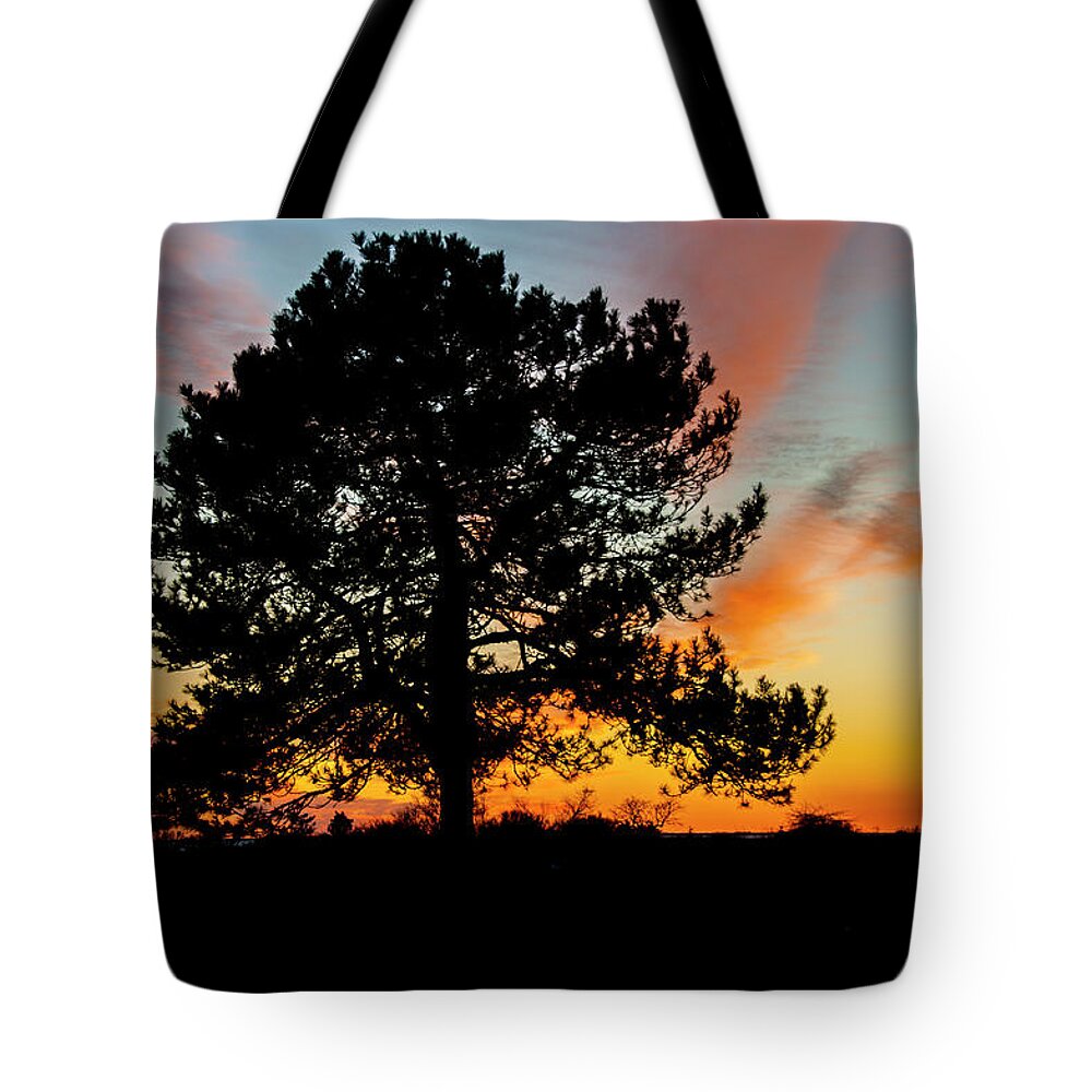 Tree Tote Bag featuring the photograph Sunset Silhouette by Cathy Kovarik