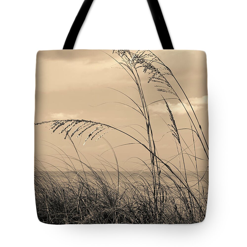 Estock Tote Bag featuring the digital art Tall Tropical Grass By The Ocean #1 by Laura Diez
