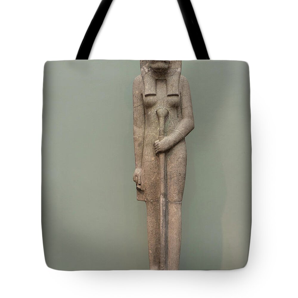 Art Tote Bag featuring the photograph The Lion Goddess Sekhmet. by Patricia Hofmeester