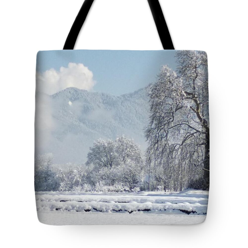  Tote Bag featuring the photograph The Snow Story by Jacob