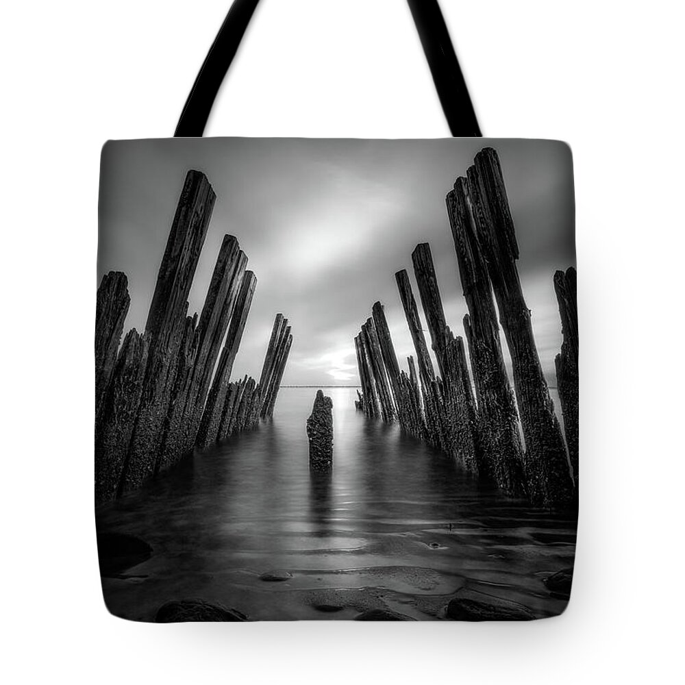 Sunset Tote Bag featuring the photograph The Sticks #1 by John Randazzo