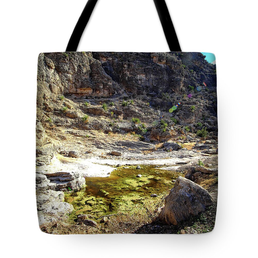 Water Tote Bag featuring the photograph The Watering Hole #1 by George Taylor