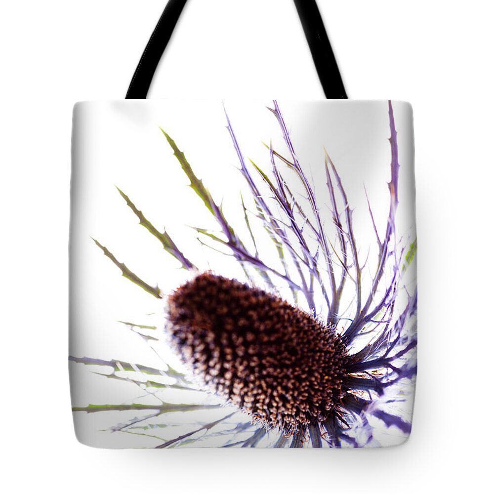 White Background Tote Bag featuring the photograph Thistle Head #1 by Nicholas Rigg
