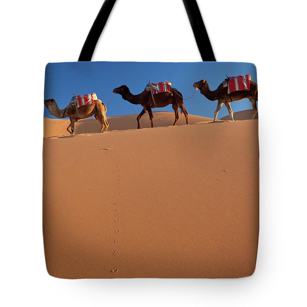 Scenics Tote Bag featuring the photograph Tuareg Man & Camels, Erg Chebbi, Sahara #1 by Peter Adams