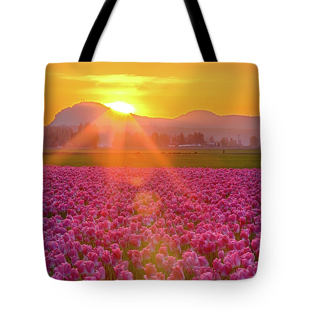 Flower Tote Bag featuring the photograph Tulip Sunset #1 by Briand Sanderson