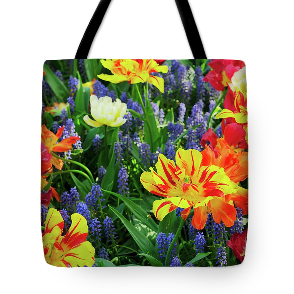Tulips Tote Bag featuring the photograph Tulips and Bluebell Flowerbed #2 by Anastasy Yarmolovich