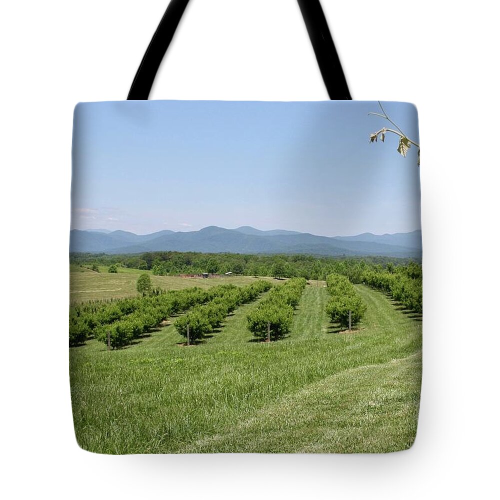 Vineyard Tote Bag featuring the photograph Vineyard #1 by Flavia Westerwelle