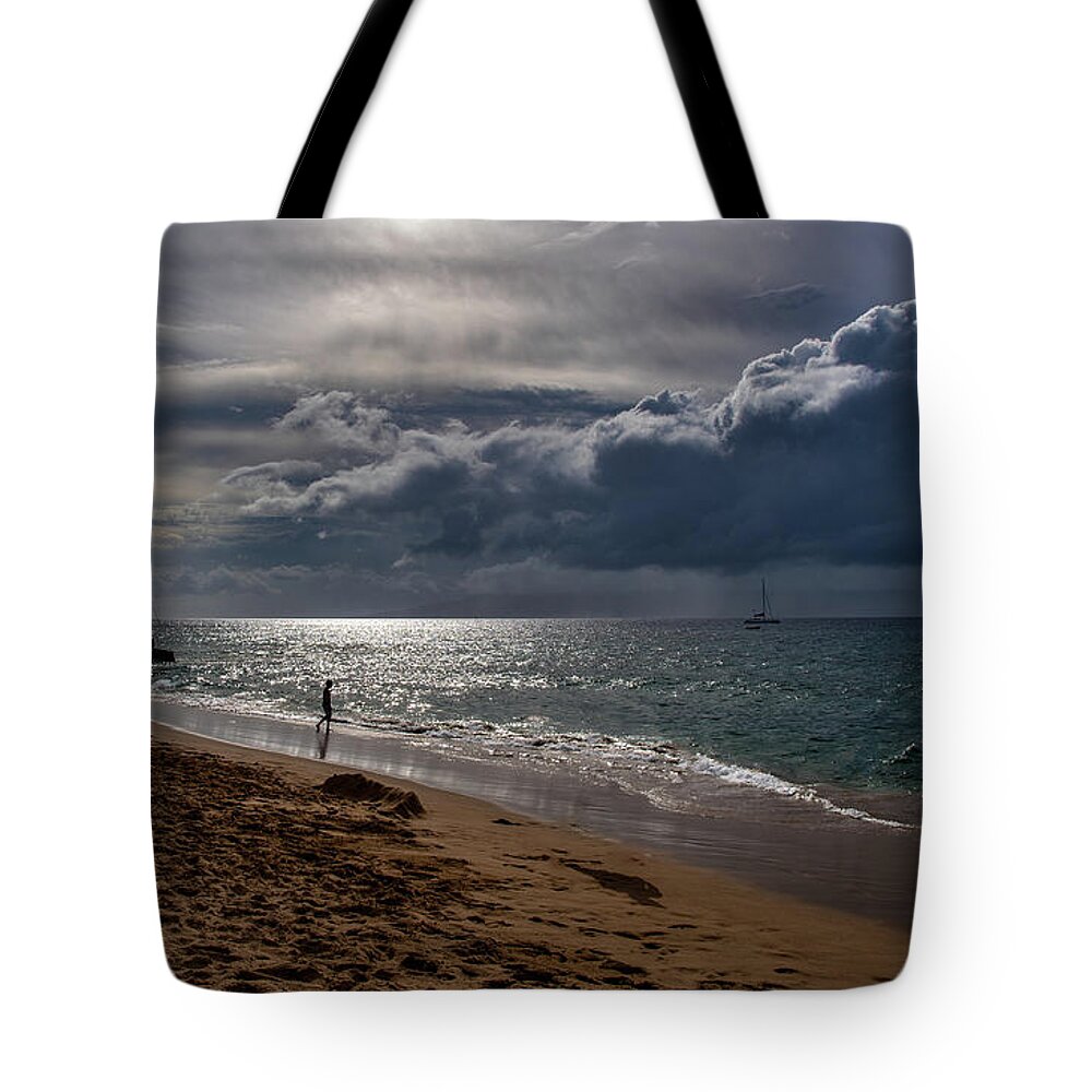 Beach Tote Bag featuring the photograph Whale Watching #2 by G Lamar Yancy