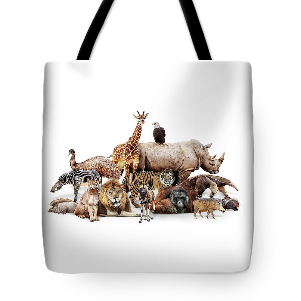 Phoenix Zoo Animals Tote Bag by Good Focused - Fine Art America