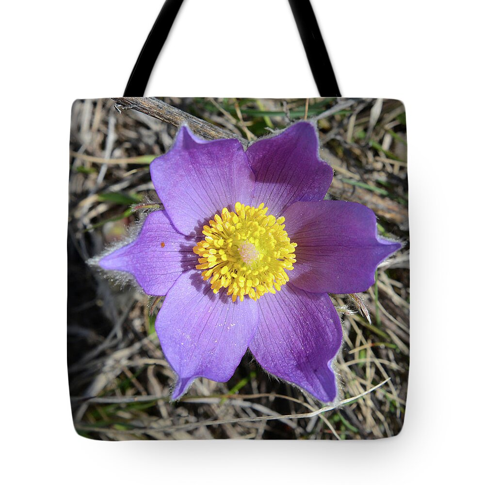 Wind Flower Tote Bag featuring the photograph Wind Flower #1 by Whispering Peaks Photography