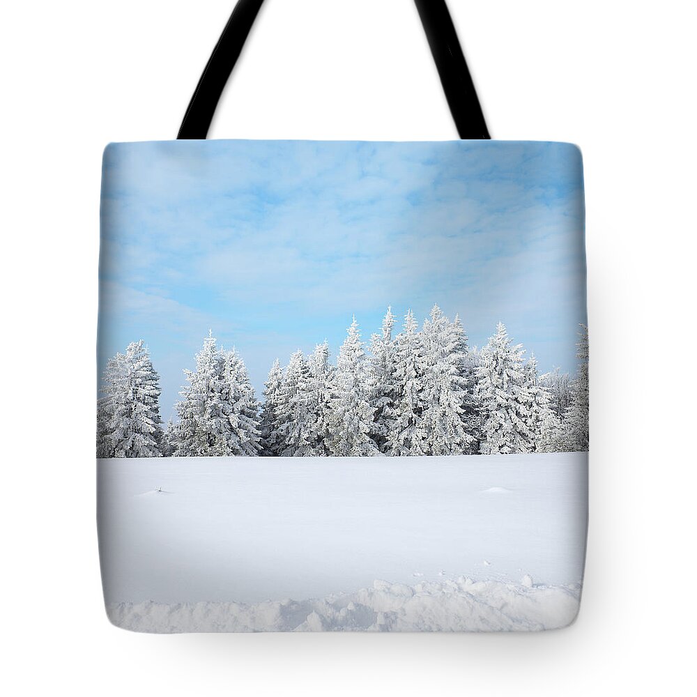 Scenics Tote Bag featuring the photograph Winter Forest #1 by Borchee