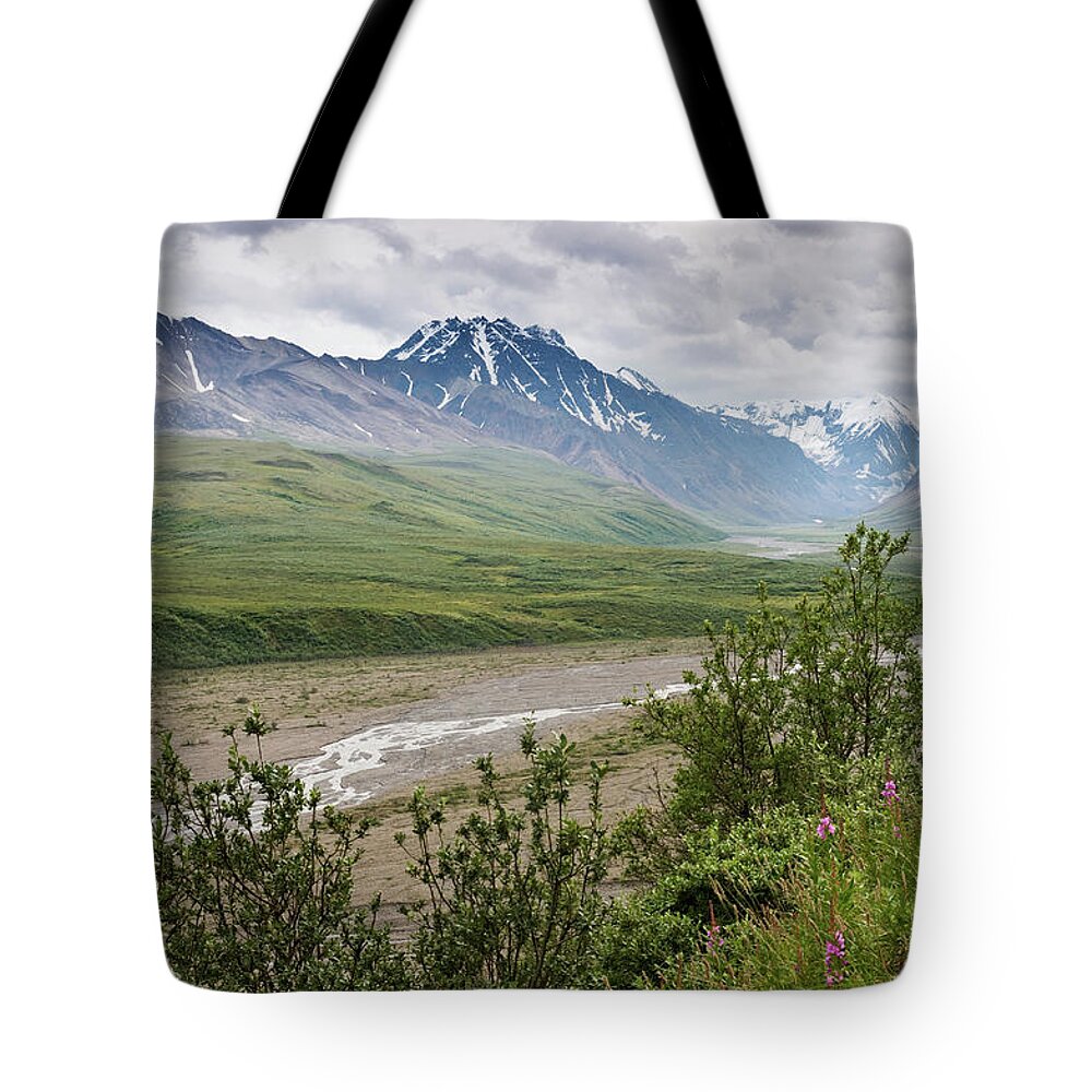 Tranquility Tote Bag featuring the photograph Denali Np Landscape #10 by John Elk