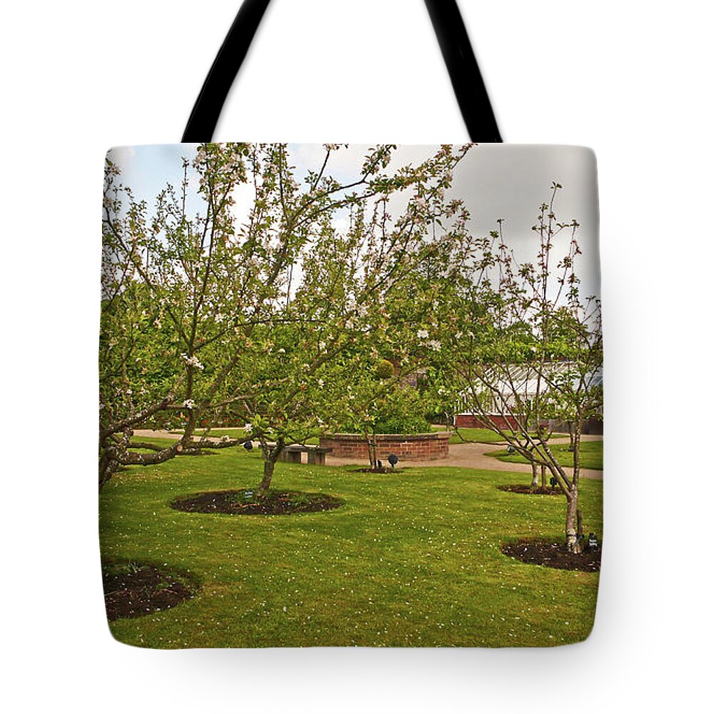 Chorley Tote Bag featuring the photograph 11/05/19 CHORLEY. Astley Hall. Walled Garden. The Orchard. by Lachlan Main