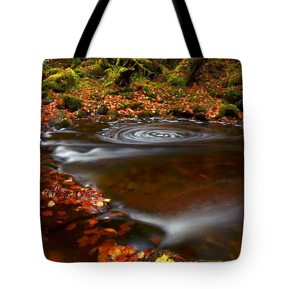 Reelig Glen Tote Bag featuring the photograph Reelig Glen #13 by Gavin MacRae