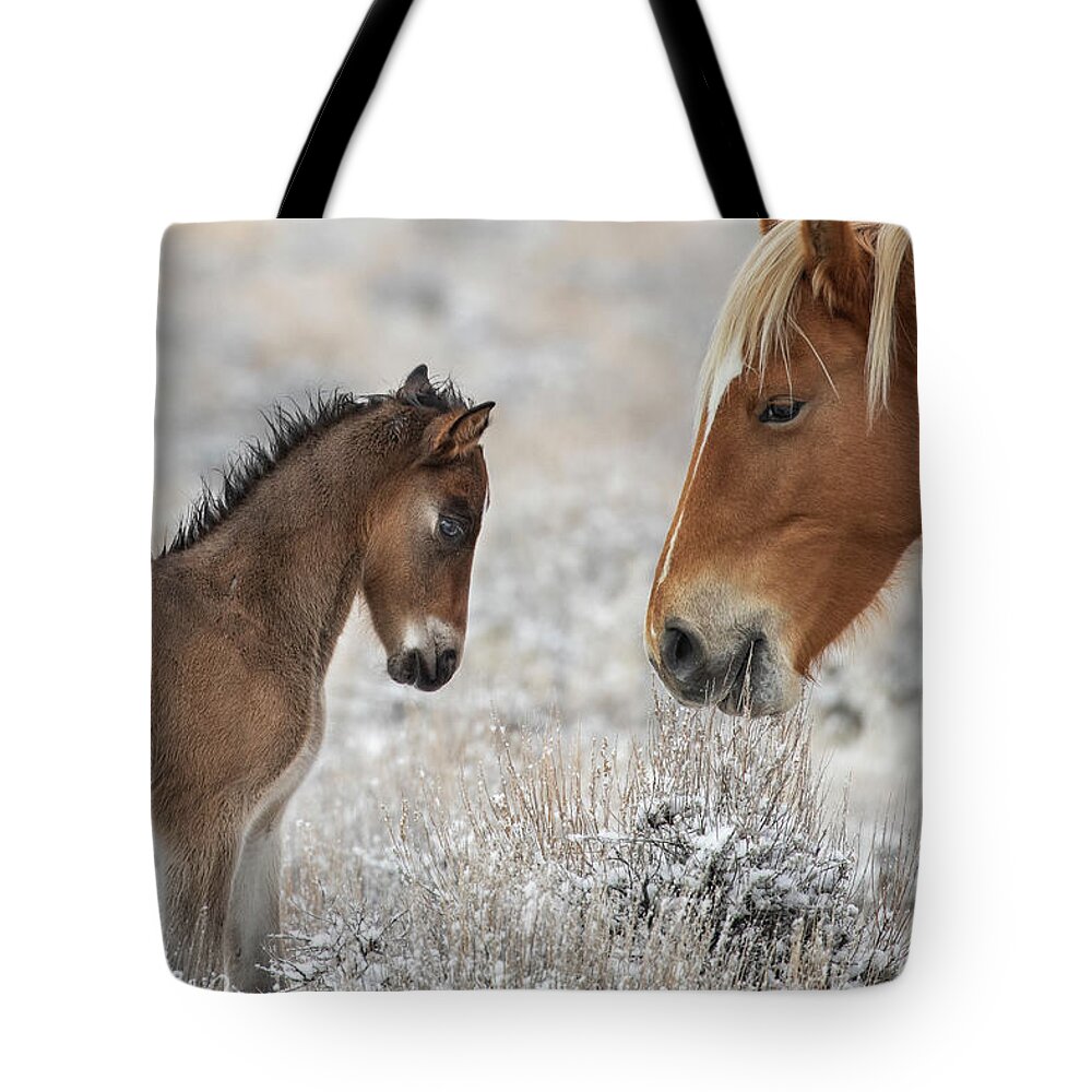  Tote Bag featuring the photograph 1dx20783 by John T Humphrey