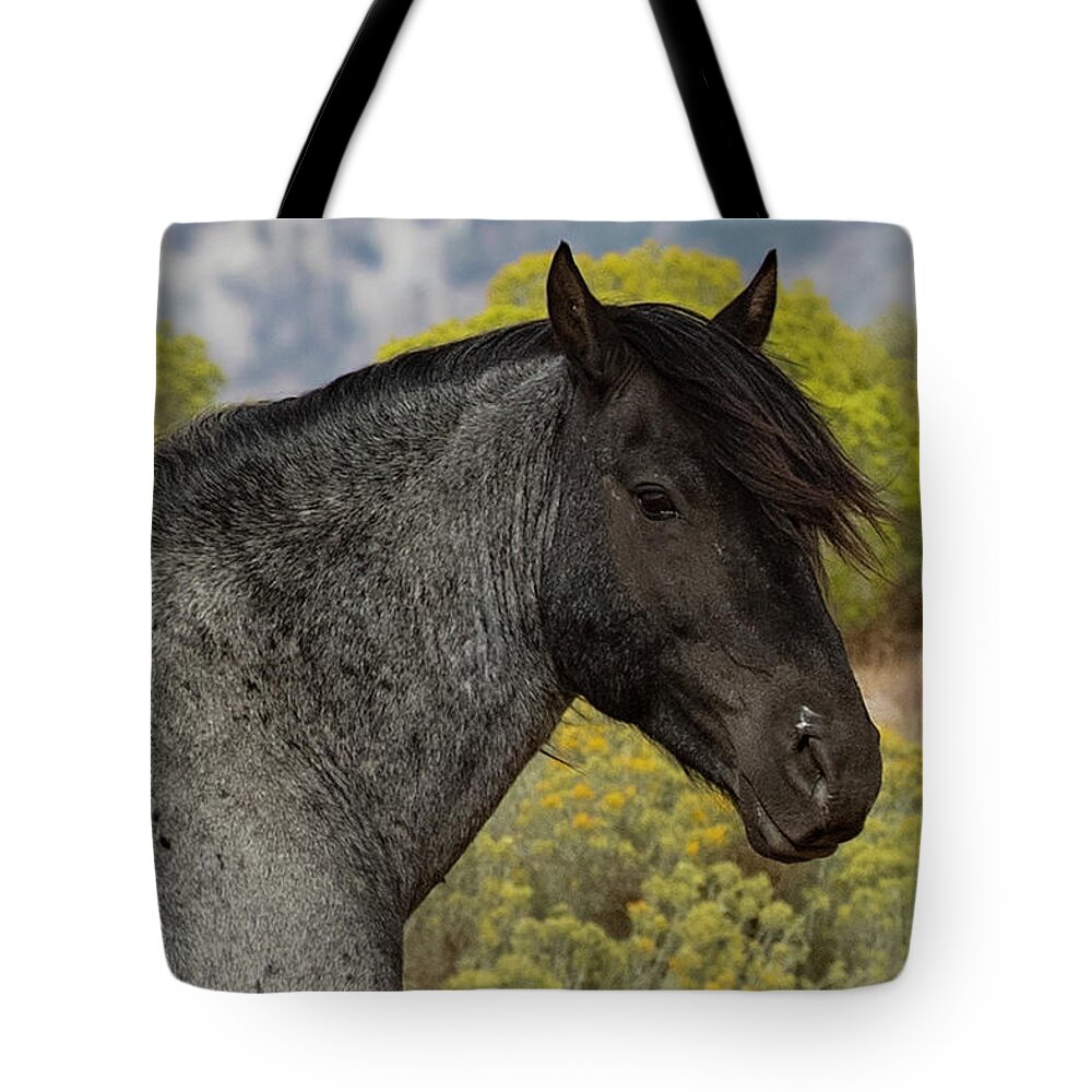  Tote Bag featuring the photograph 1dx21714 by John T Humphrey