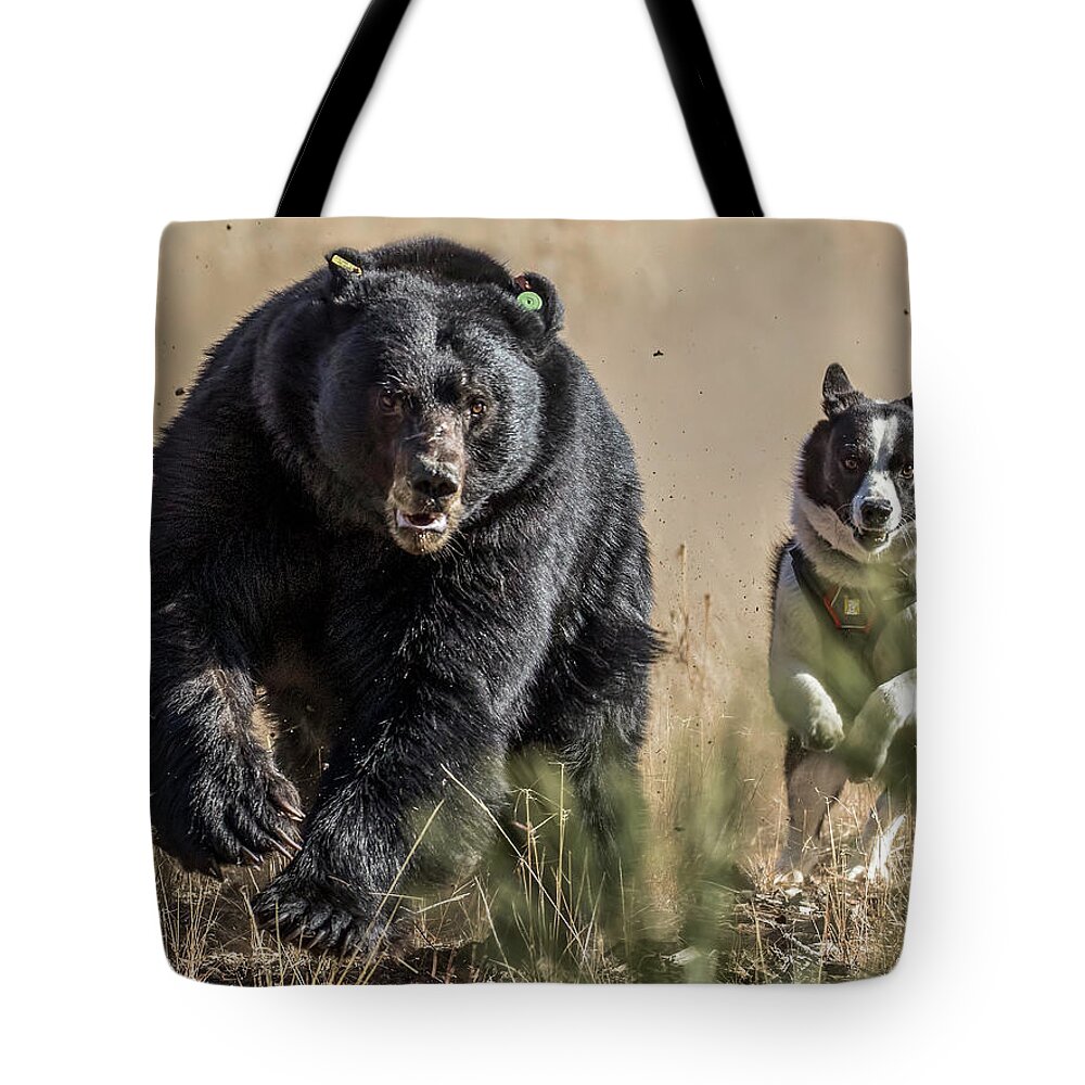  Tote Bag featuring the photograph 1dx23373 by John T Humphrey