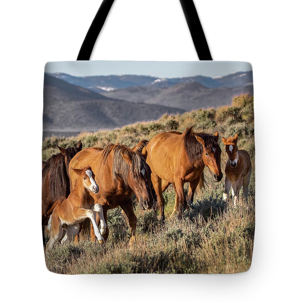  Tote Bag featuring the photograph 1dx25482 by John T Humphrey