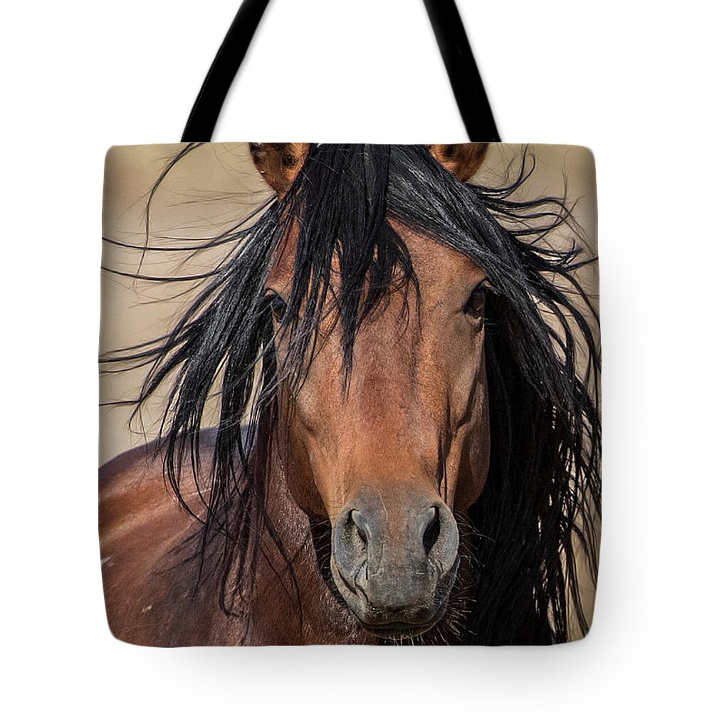  Tote Bag featuring the photograph 1dx26438 by John T Humphrey