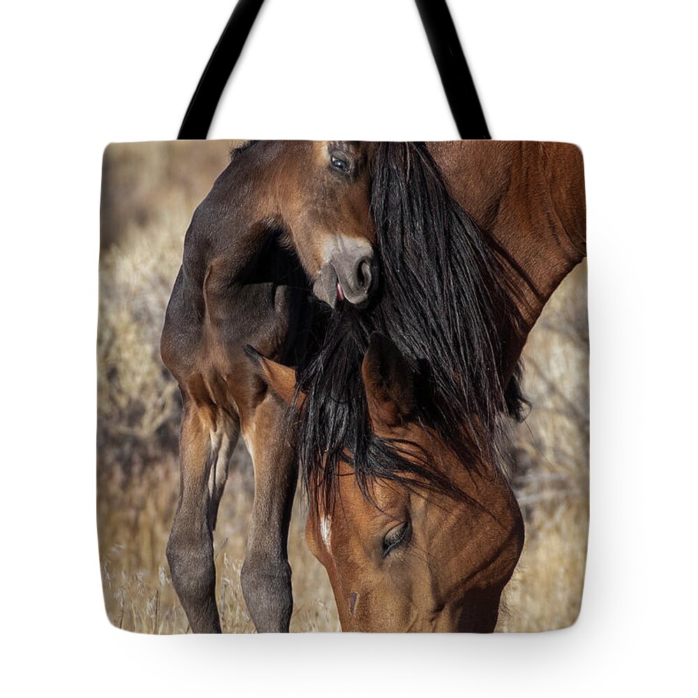  Tote Bag featuring the photograph 1dx26813 by John T Humphrey