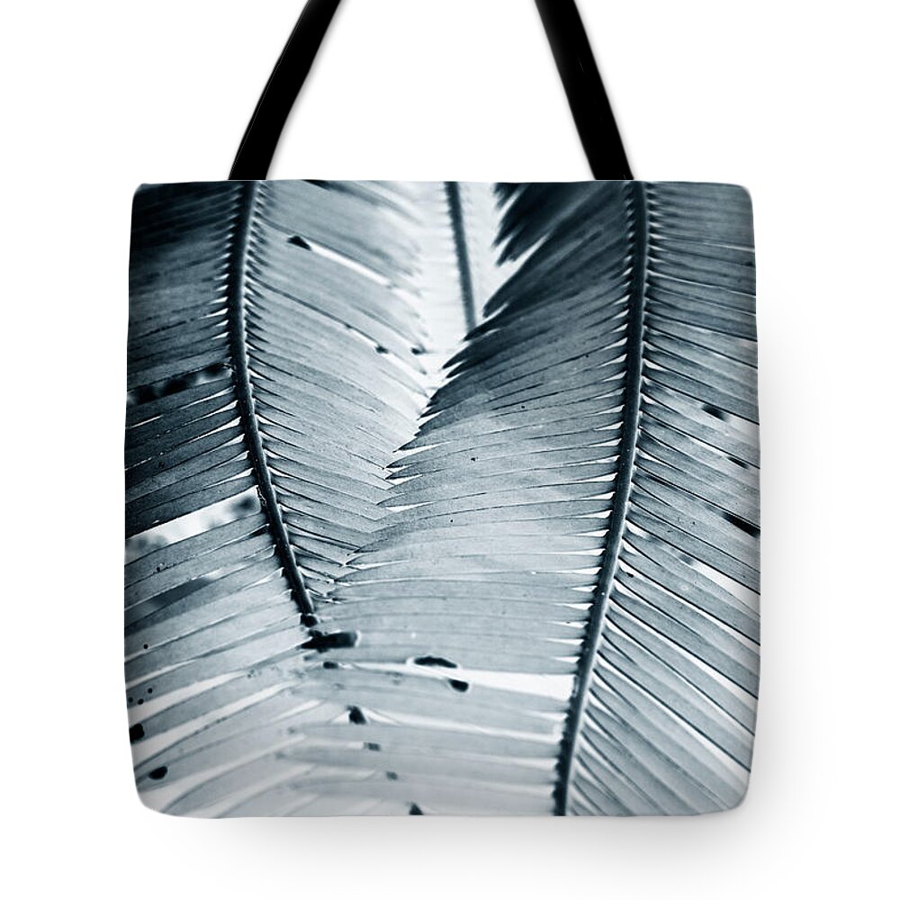 Estock Tote Bag featuring the digital art 2 Plant Fronds Forming A Heart by Laura Diez