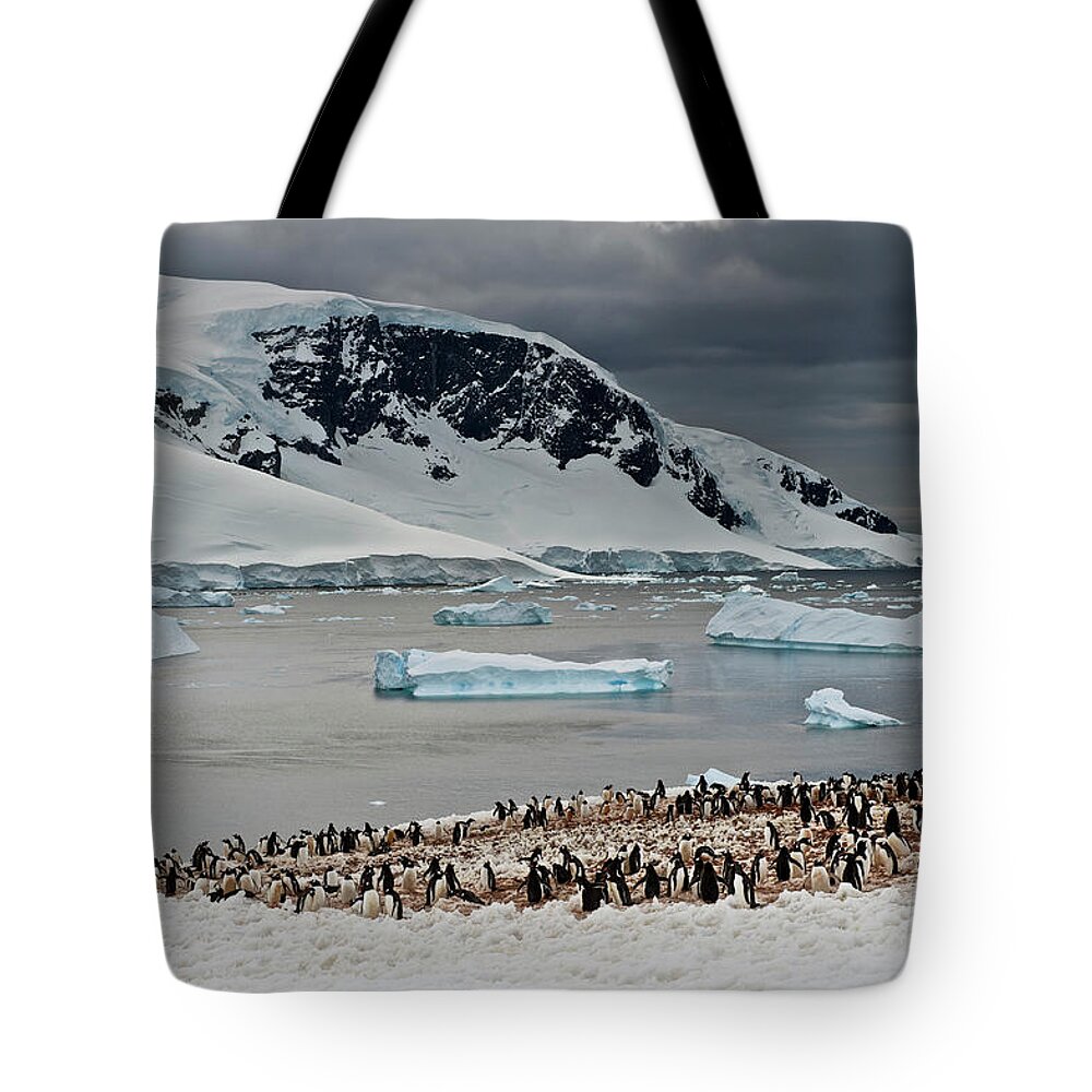 Tranquility Tote Bag featuring the photograph Antarctic Peninsula, Antarctica #2 by Enrique R. Aguirre Aves